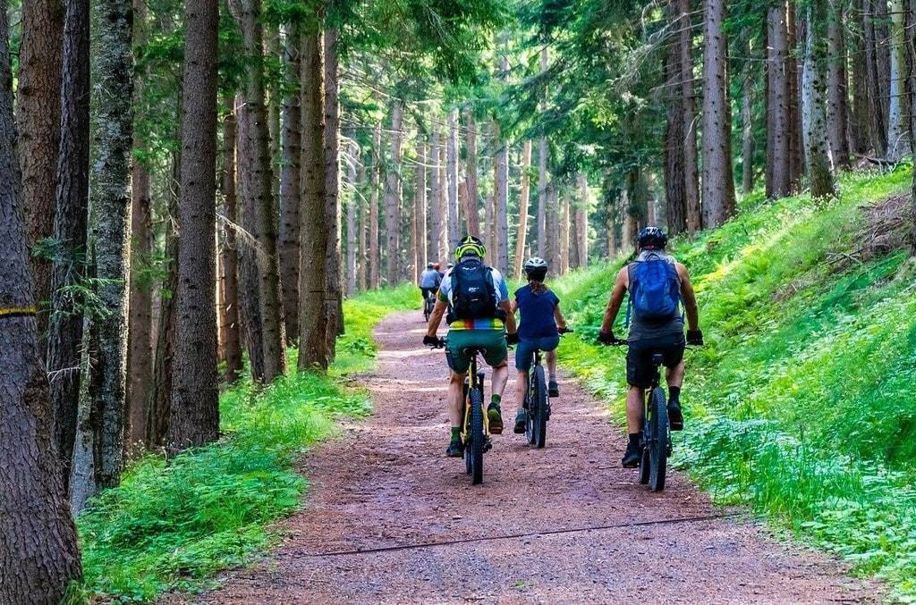 Idées de loisirs pour explorer les beautés de notre région